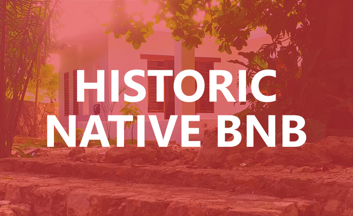 Native BNB Bold template